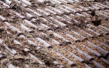 Millarston roof cleaning companies